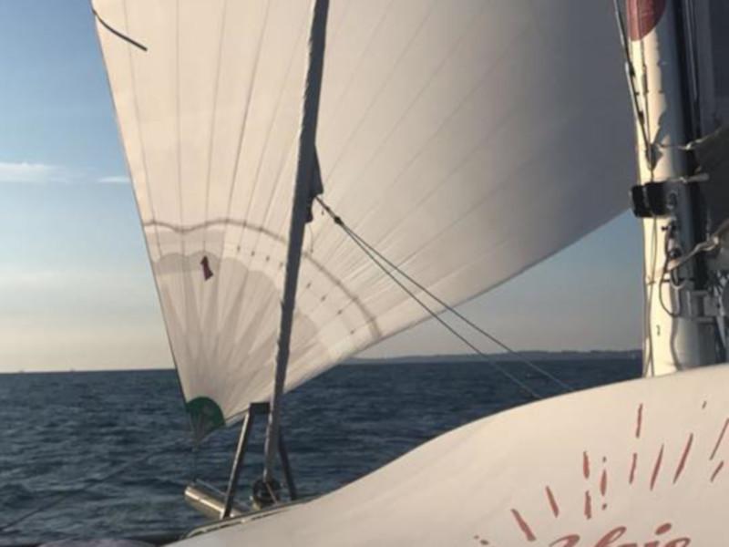 Book yachts online - catamaran - TS 42 - CASTOR - rent