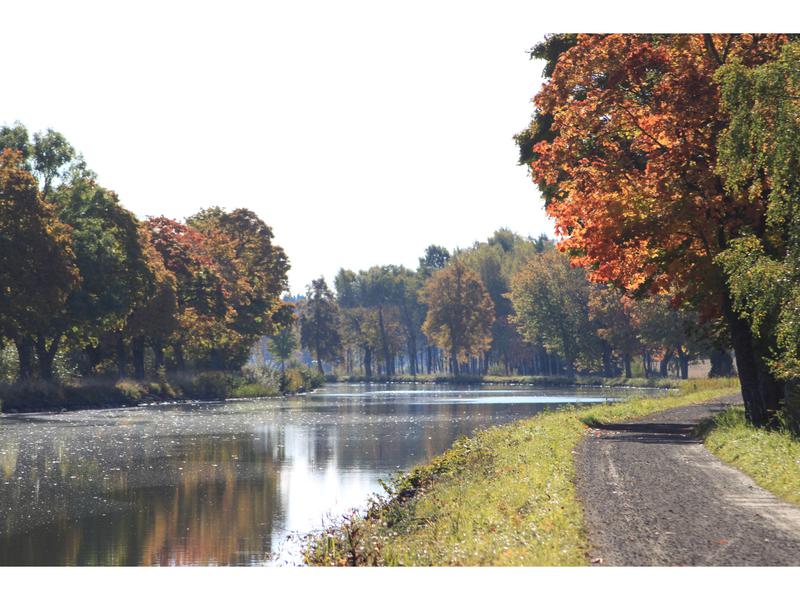 Book yachts online - motorboat - Husky Dane - Sophia ( Electric Drive)  - rent