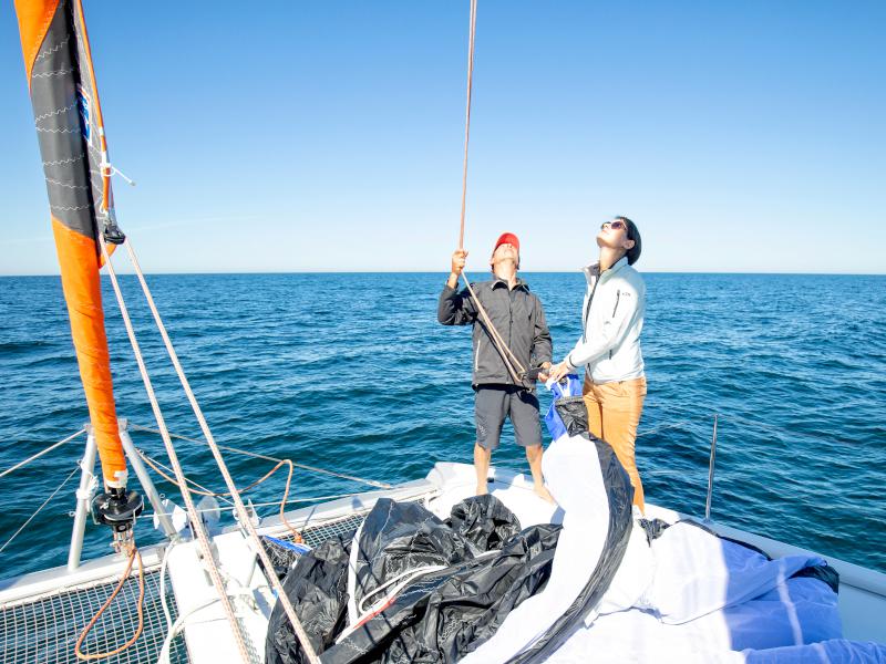 Book yachts online - catamaran - Excess 11 - PANCO - rent