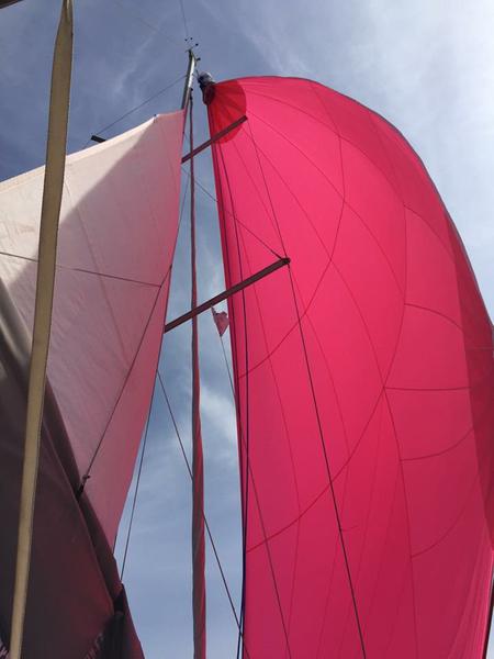 Book yachts online - sailboat - Oceanis 37 - WIND OF CHANGE (New 2023 full batten mainsail, 2023 furling genoa, 2023 bimini, 2023 sprayhood) - rent