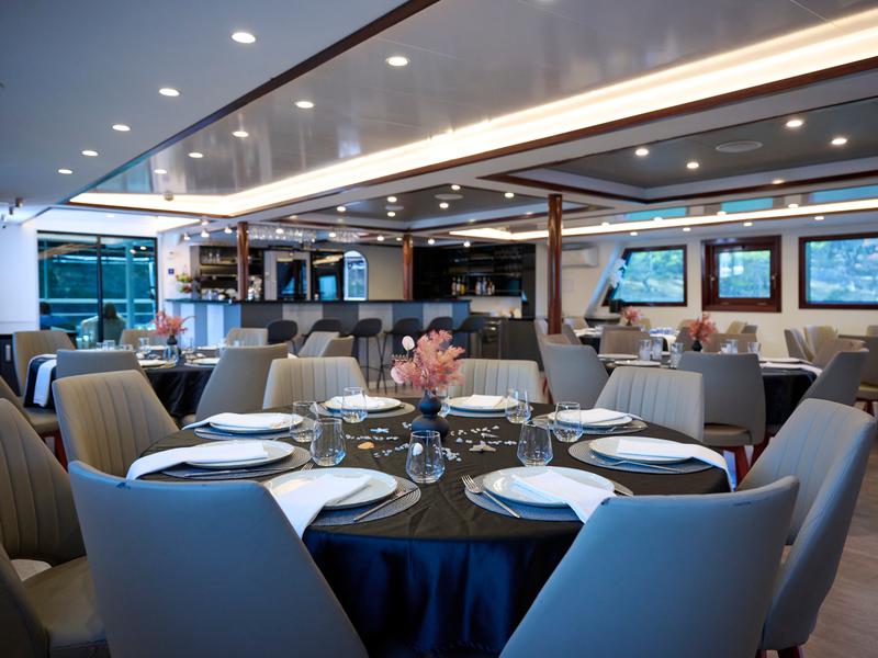 Book yachts online - motorboat - Motoryacht - Lupus Mare - rent