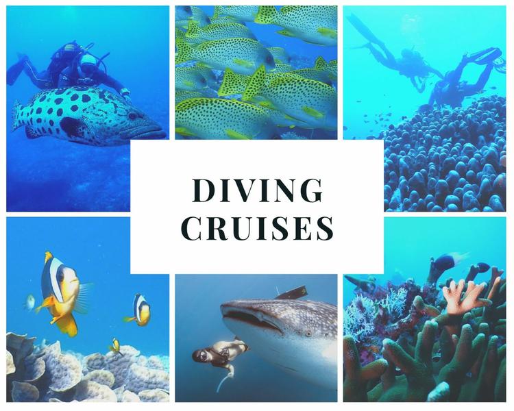 Book yachts online - catamaran - Leopard 48 - Sunday Kinga - rent