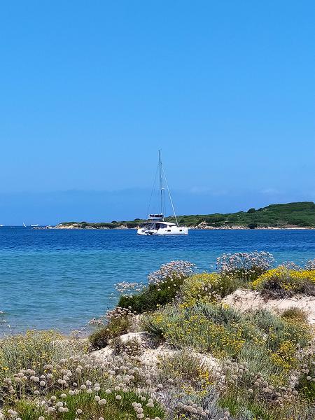 Book yachts online - catamaran - Lagoon 450F - Pollo - rent