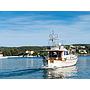 Book yachts online - motorboat - Menorquin 160 FLY - Buccara V - rent